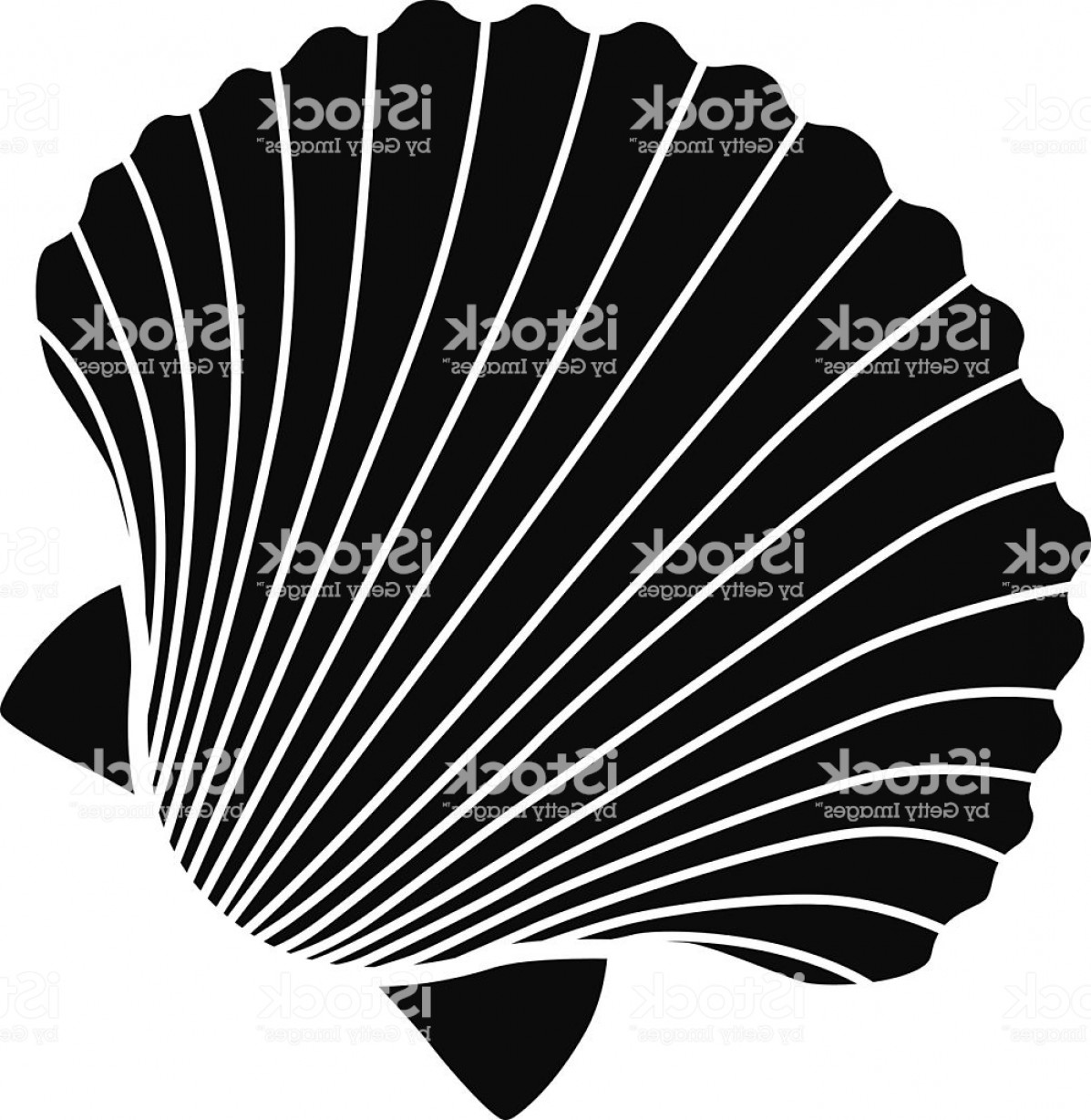 1197x1228 Vector Scallop Shell Icon Stencil In Black And White Gm Geekchicpro