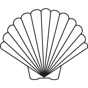 300x300 Shells Free Vector Art Graphics Scallop Shell Star Fish