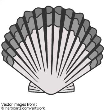 335x355 Download Scallop Shell