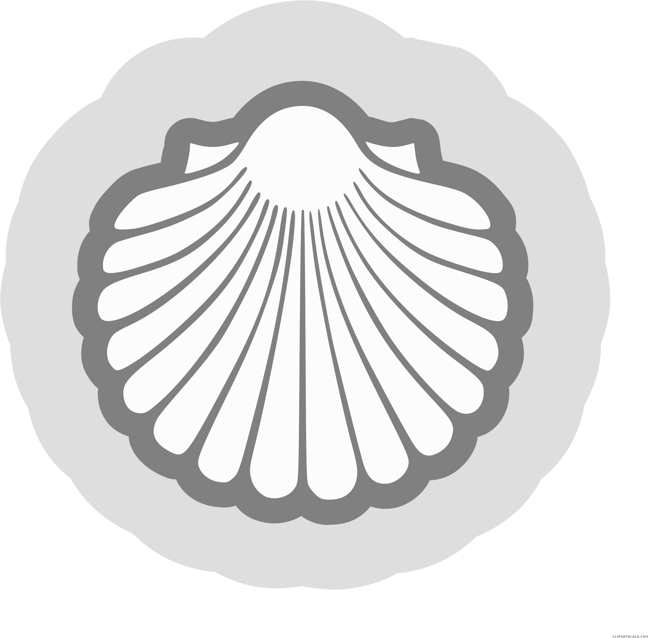 2250x2217 Hd Scallop Cliparts