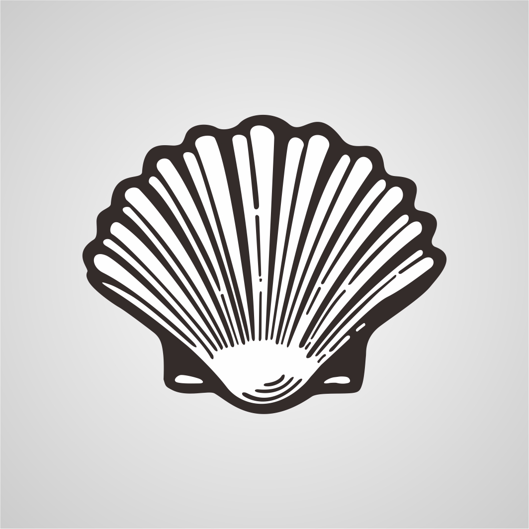 1064x1064 Scallop Vector Silhouette Imomia