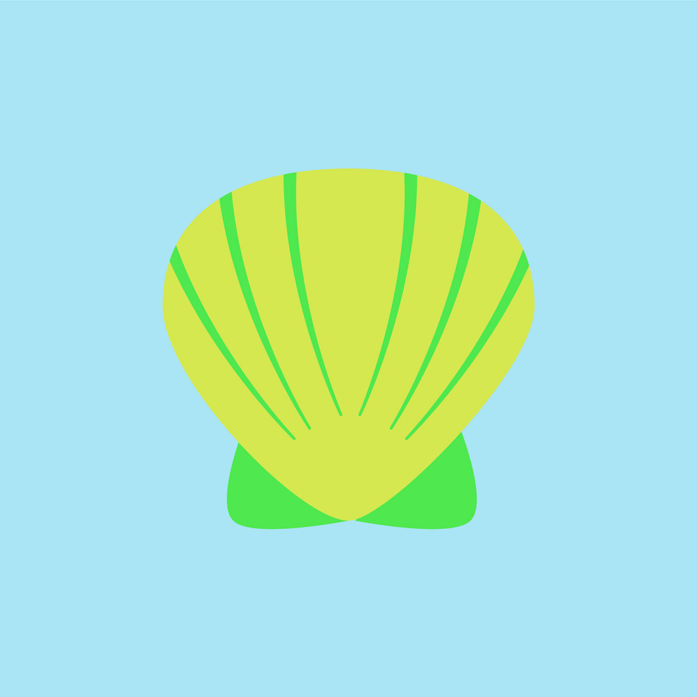 1000x1000 Scallop Sea Shell Sketch Style Realistic Vector