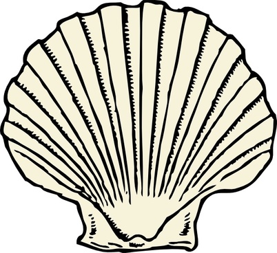 402x368 Scallop Vector Free Vector Download