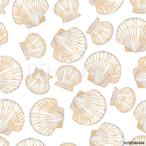 500x500 Seashell Seamless Pattern Scallop Vector Background