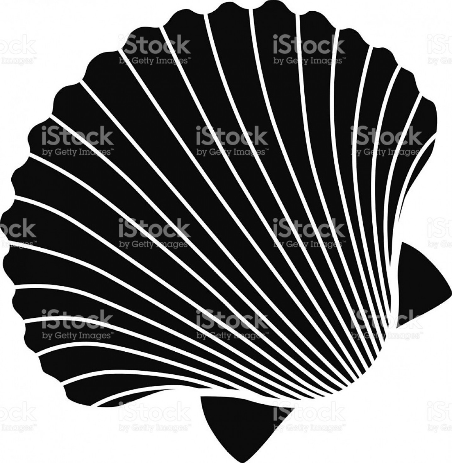 1436x1473 Vector Scallop Shell Icon Stencil In Black And White Gm Soidergi
