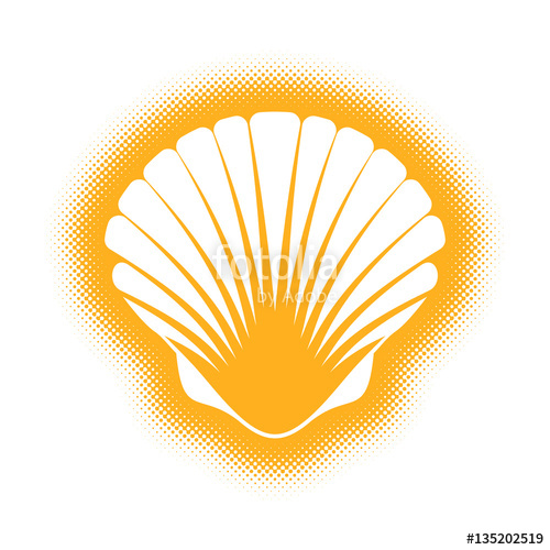 500x500 Vector Scallop Seashell Silhouette Icon Stock Image And Royalty