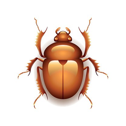 416x416 Egyptian Scarab Beetle Isolated On White Vector Premium Clipart