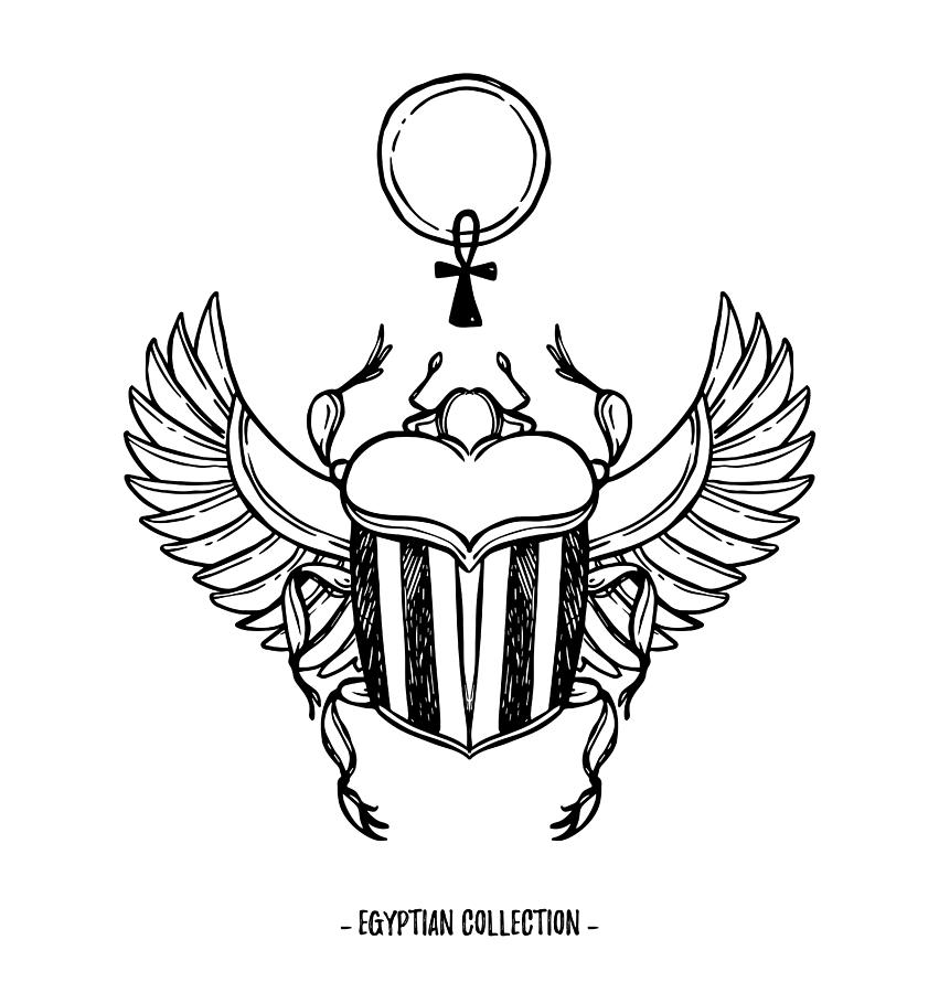 Scarab Beetle Vector at Vectorified.com | Collection of Scarab Beetle ...