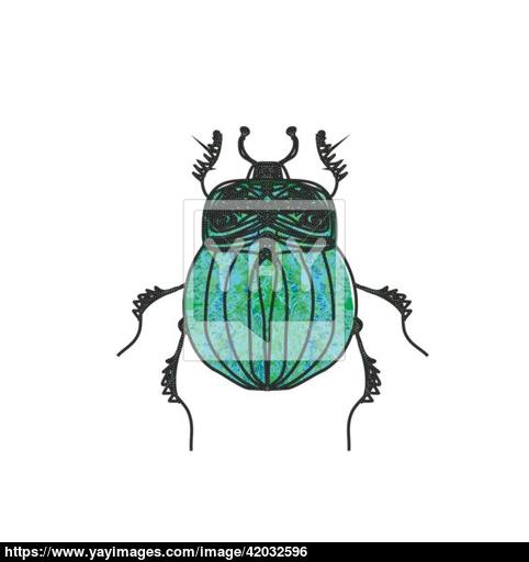 482x512 Scarab Beetle Vector Vector
