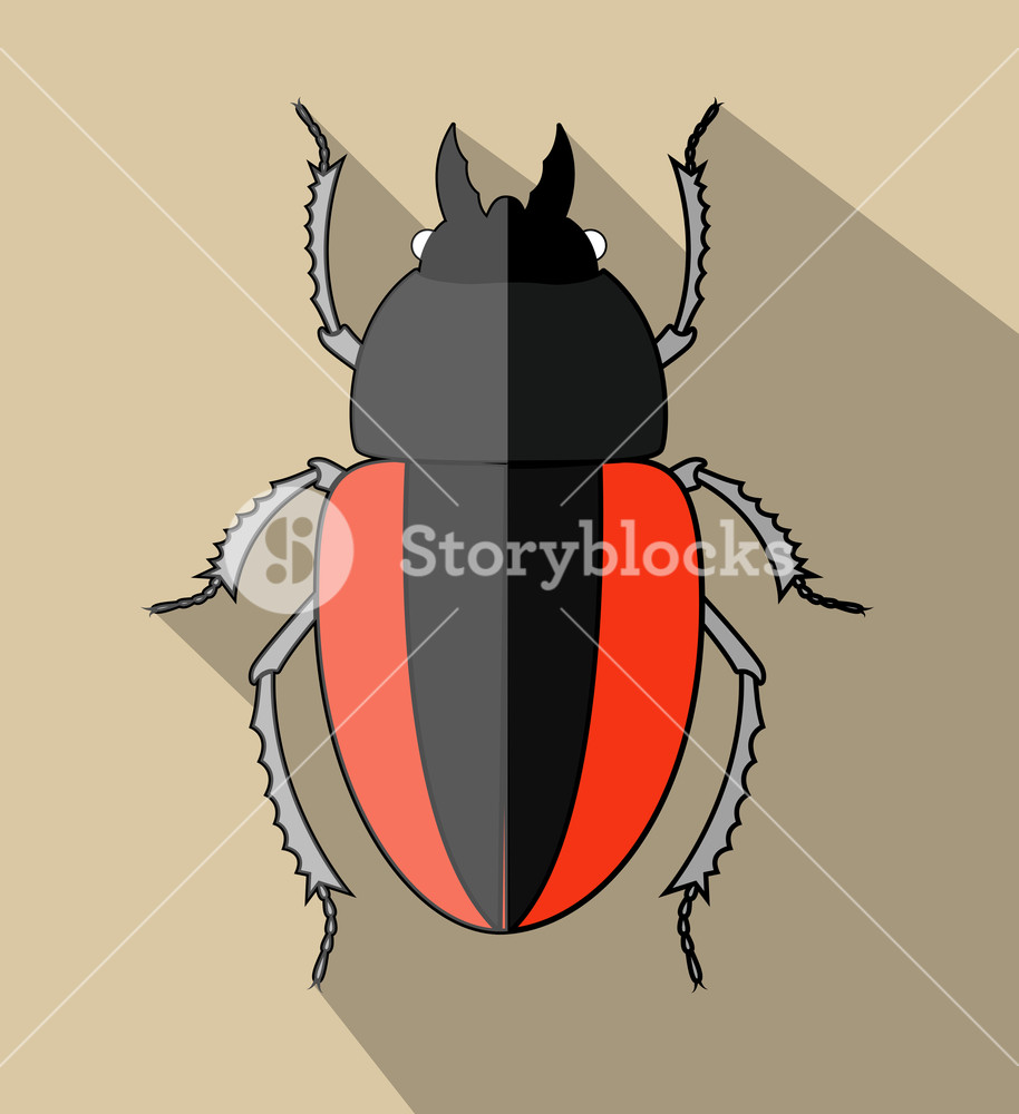914x1000 Creepy Scarab Beetle Vector Illustration Royalty Free Stock Image