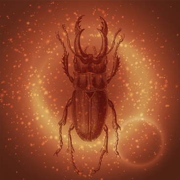 368x368 Vector Scarab Beetle Free Vector Download