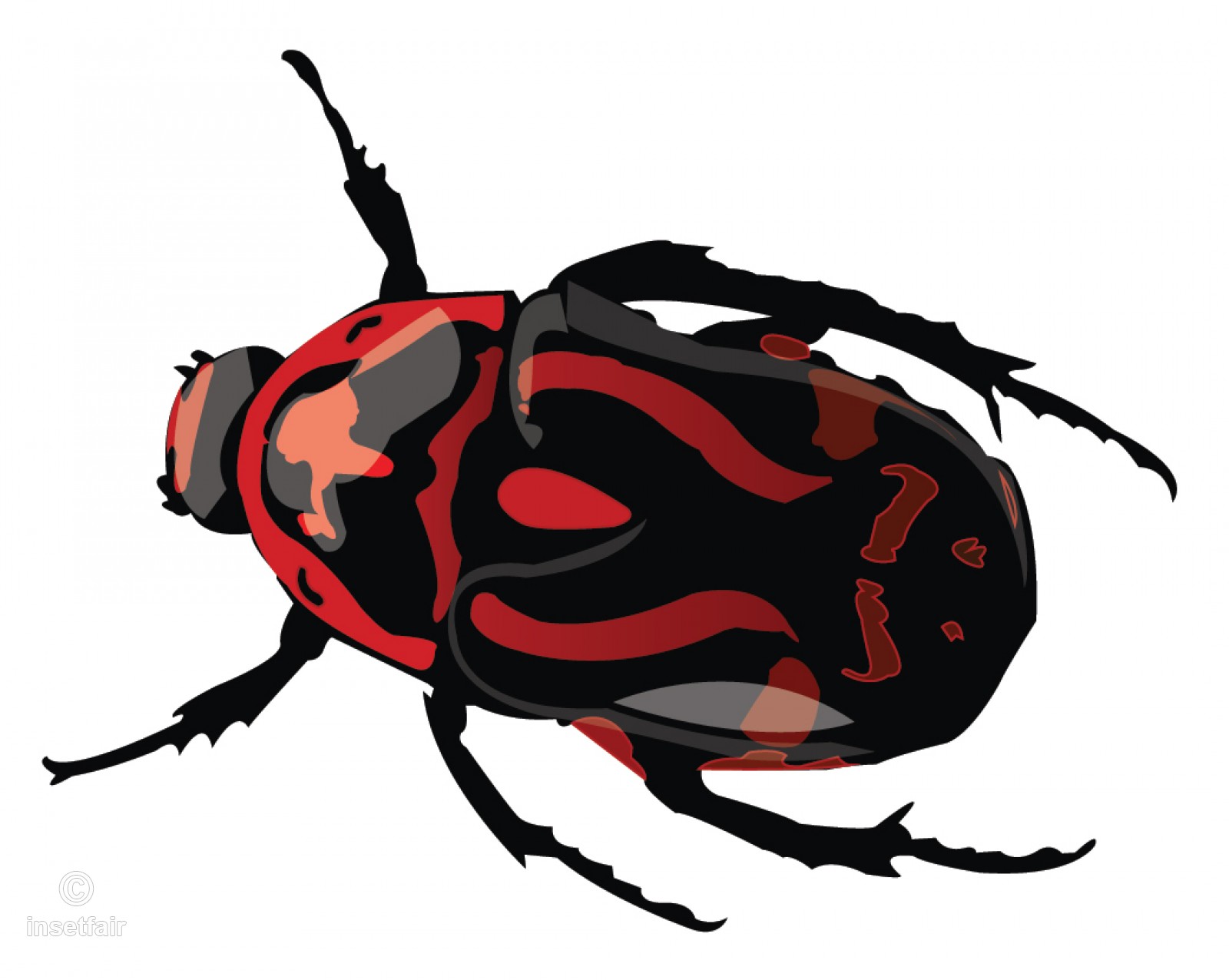 1600x1276 Creepy Scarab Beetle Vector Image And Png