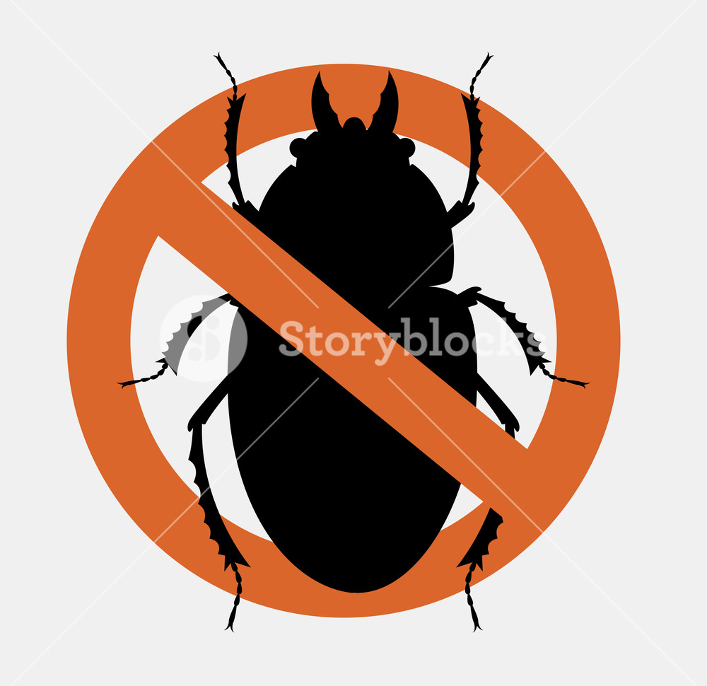 1000x970 Remove Scarab Beetles Symbol Vector Illustration Royalty Free