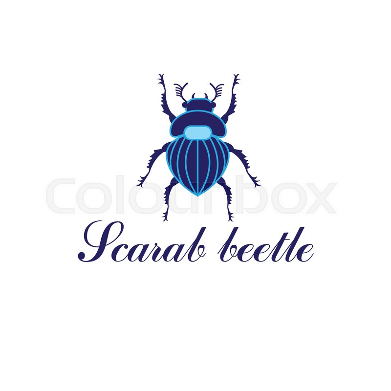 800x800 Vector Scarab Beetle Isolated On A Stock Vector Colourbox