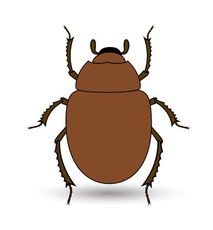 416x450 Scarab Beetle Insect Vector Royalty Free Vector Graphics