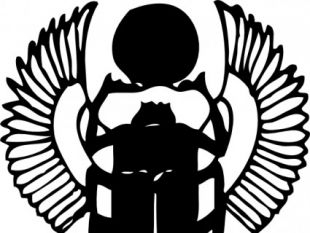 310x233 Scarab Vector Free Vectors Ui Download