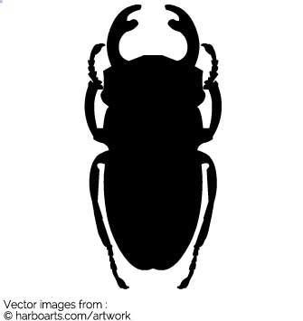 335x355 Download Scarab Holy Beetle Silhouette