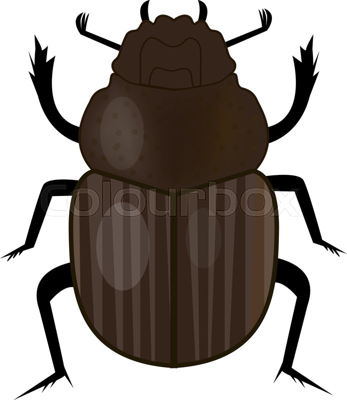 693x800 Scarab Beetle Insect Icon, Flat Style Stock Vector Colourbox