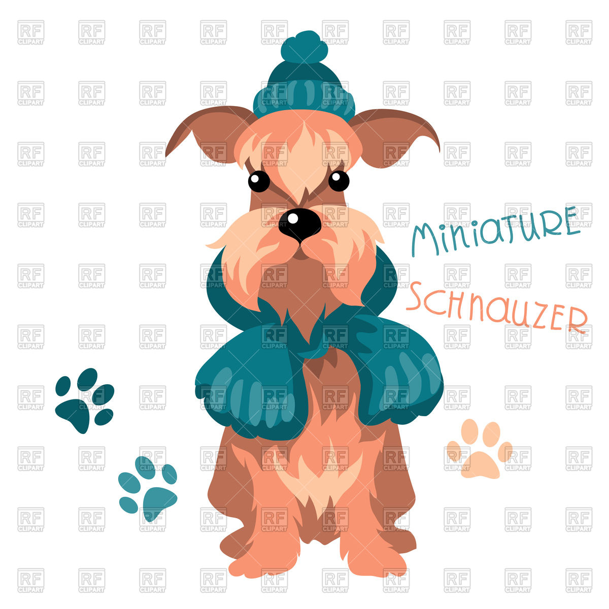 1200x1200 Dog Breed Miniature Schnauzer In Warm Winter Knit Hat And Scarf