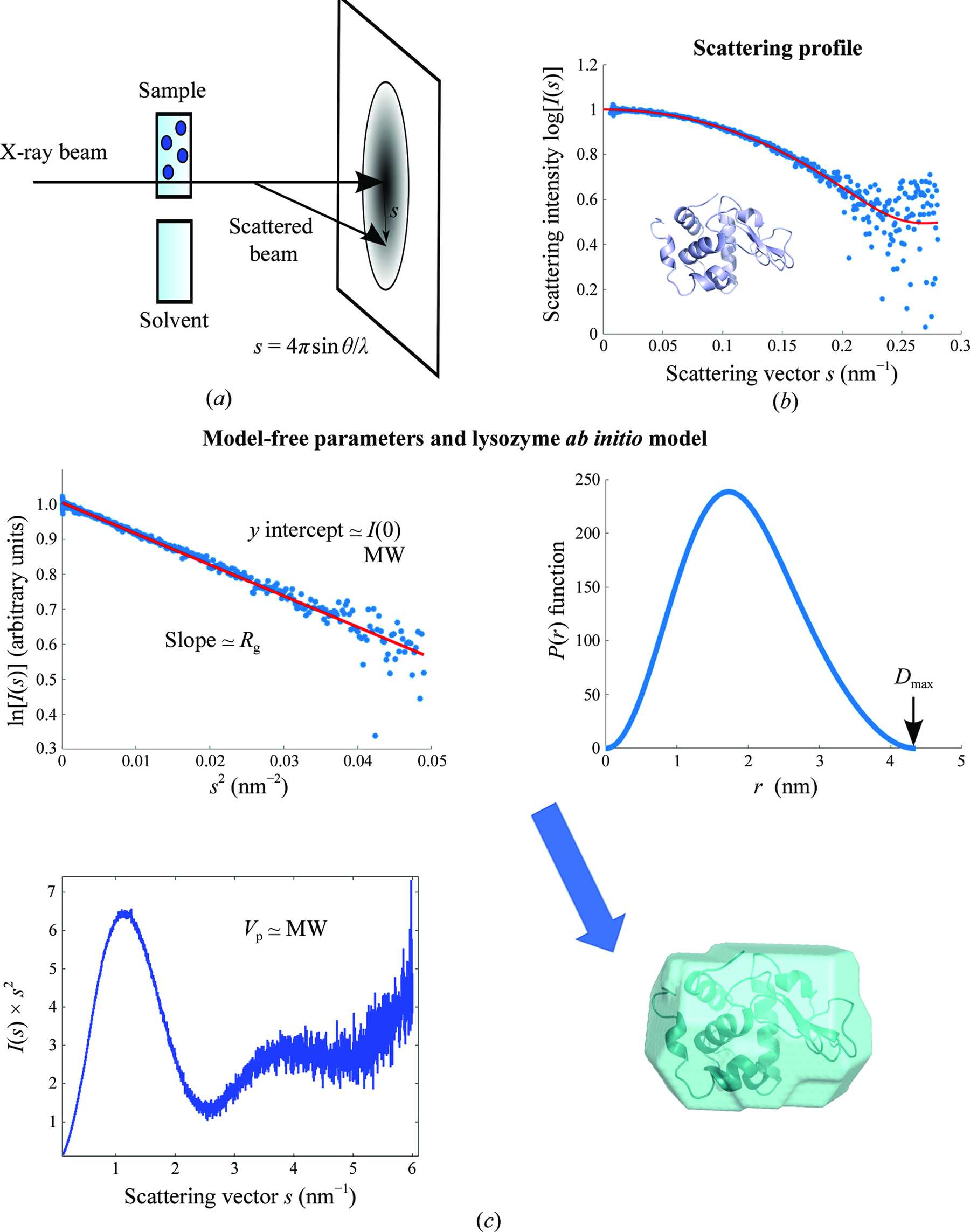 1800x2286 Iucr Progress In Small Angle Scattering From Biological Solutions