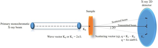 646x198 Application Of The Small Angle X Ray Scattering Technique