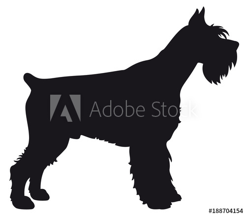 500x438 Giant Schnauzer