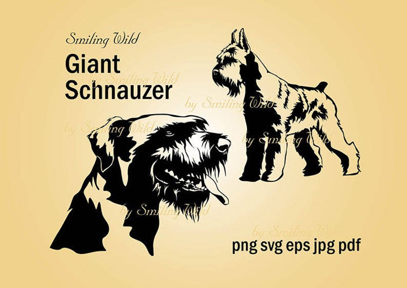 794x562 Giant Schnauzer Clipart Vector Graphic Art Dog Face Etsy