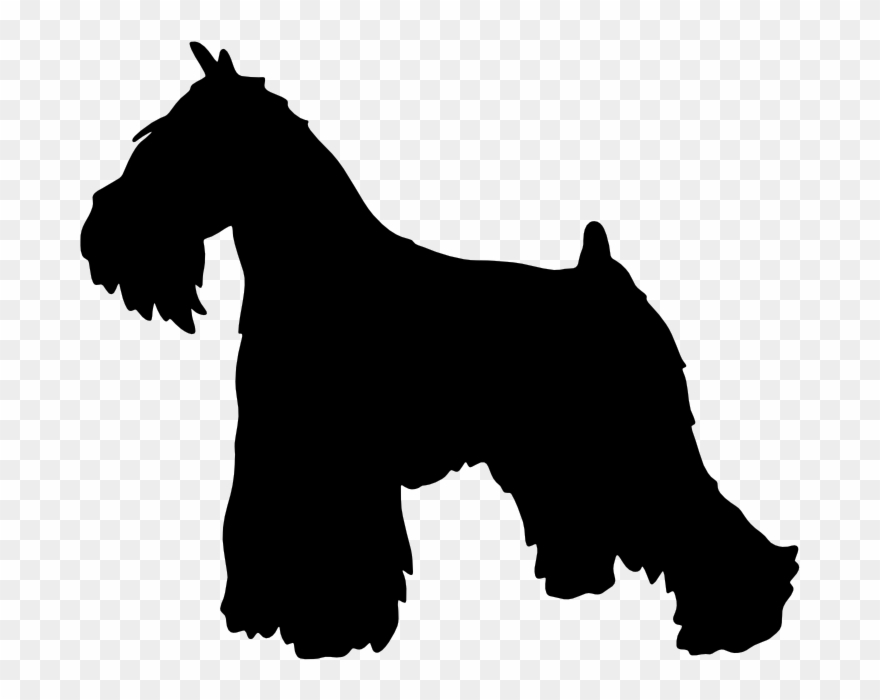 880x700 Huge Collection Of 'miniature Schnauzer Clipart' Download More