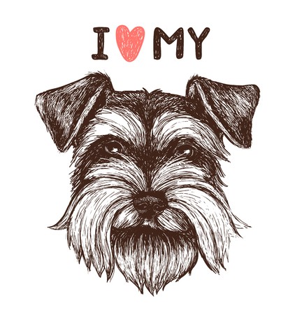 422x450 I Love My Schnauzer Vector Sketch Illustration With Hand Drawn