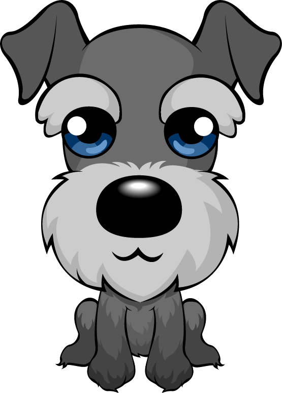 555x771 Mini Schnauzer Clipart