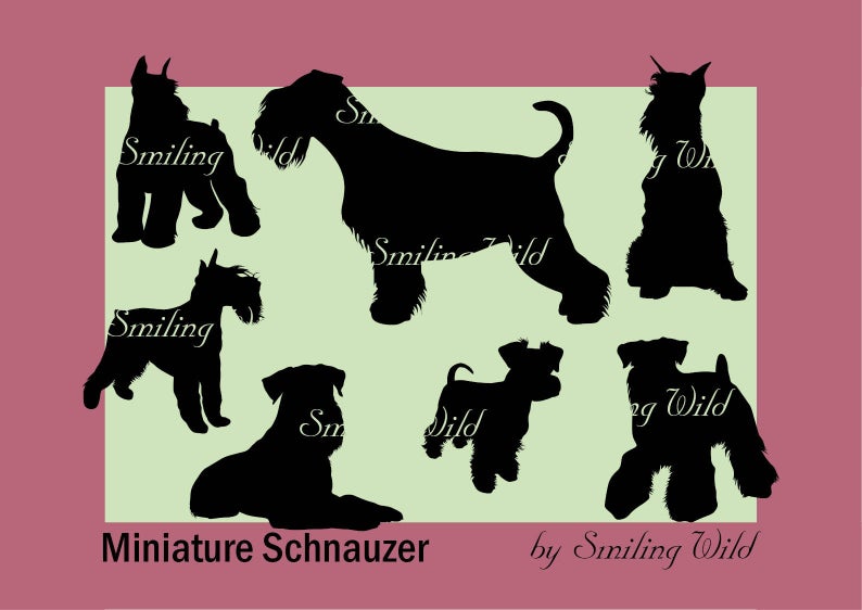 794x562 Mini Schnauzer Miniature Schnauzer Silhouette Vector Etsy