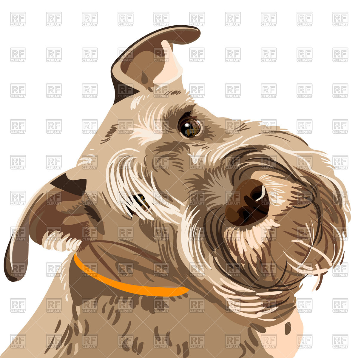 1200x1200 Miniature Schnauzer Vector Image Of Plants And Animals