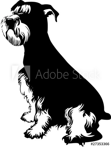 Schnauzer Vector at Vectorified.com | Collection of Schnauzer Vector