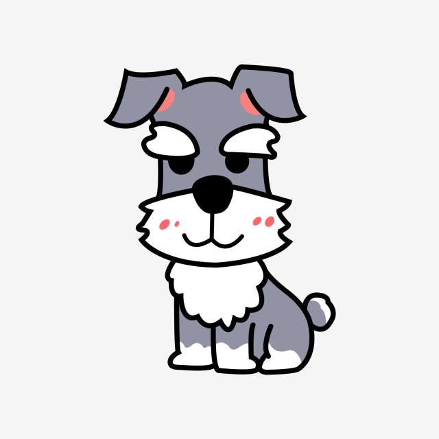 640x640 Schnauzer Bearded Long Hair Canine, Puppy, Pet, Pet Dog Png