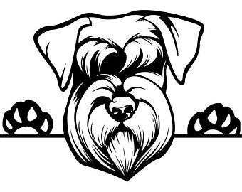 340x270 Schnauzer Logo Images