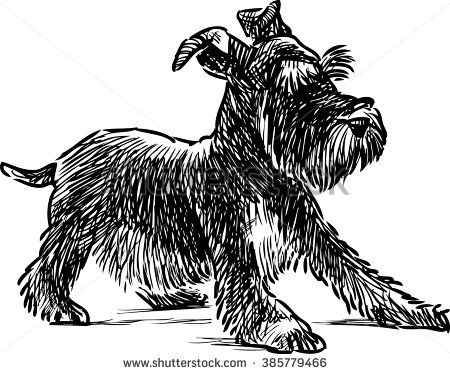 450x374 Schnauzer Stock Vectors, Images Vector Art Shutterstock