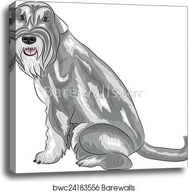 382x390 Vector Middle Schnauzer, Canvas Print Barewalls Posters