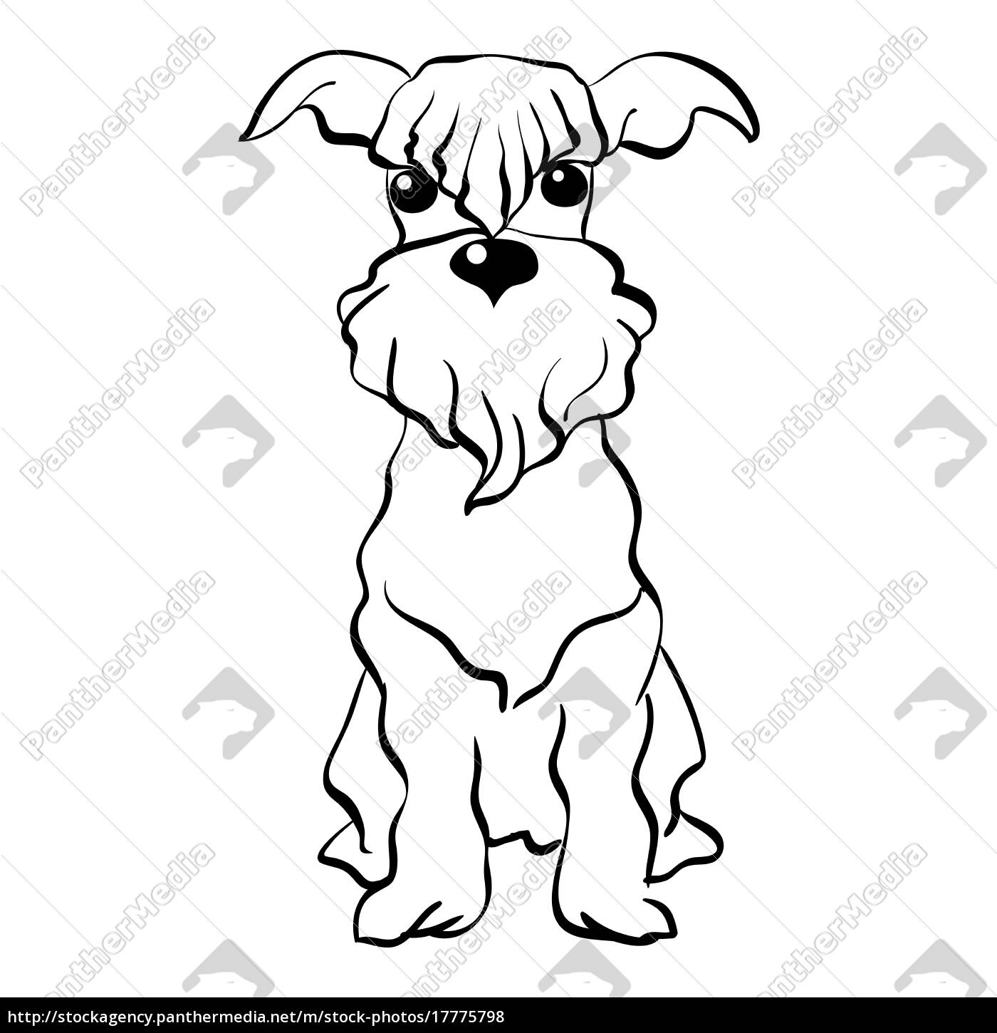 1400x1450 Vector Skizze Miniature Schnauzer Hund Sitzt