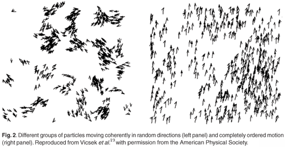 School Of Fish Vector