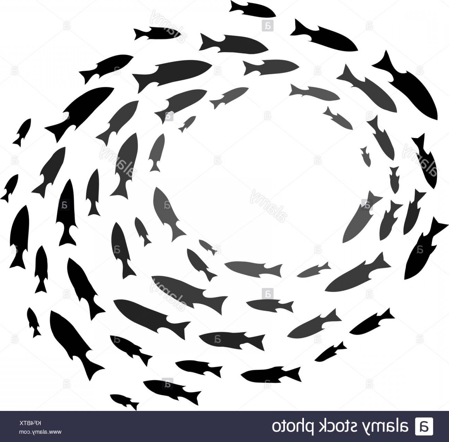 Ocean Fish Vector Cultracing 1560x1536 Ocean Fish Vector Cultracing