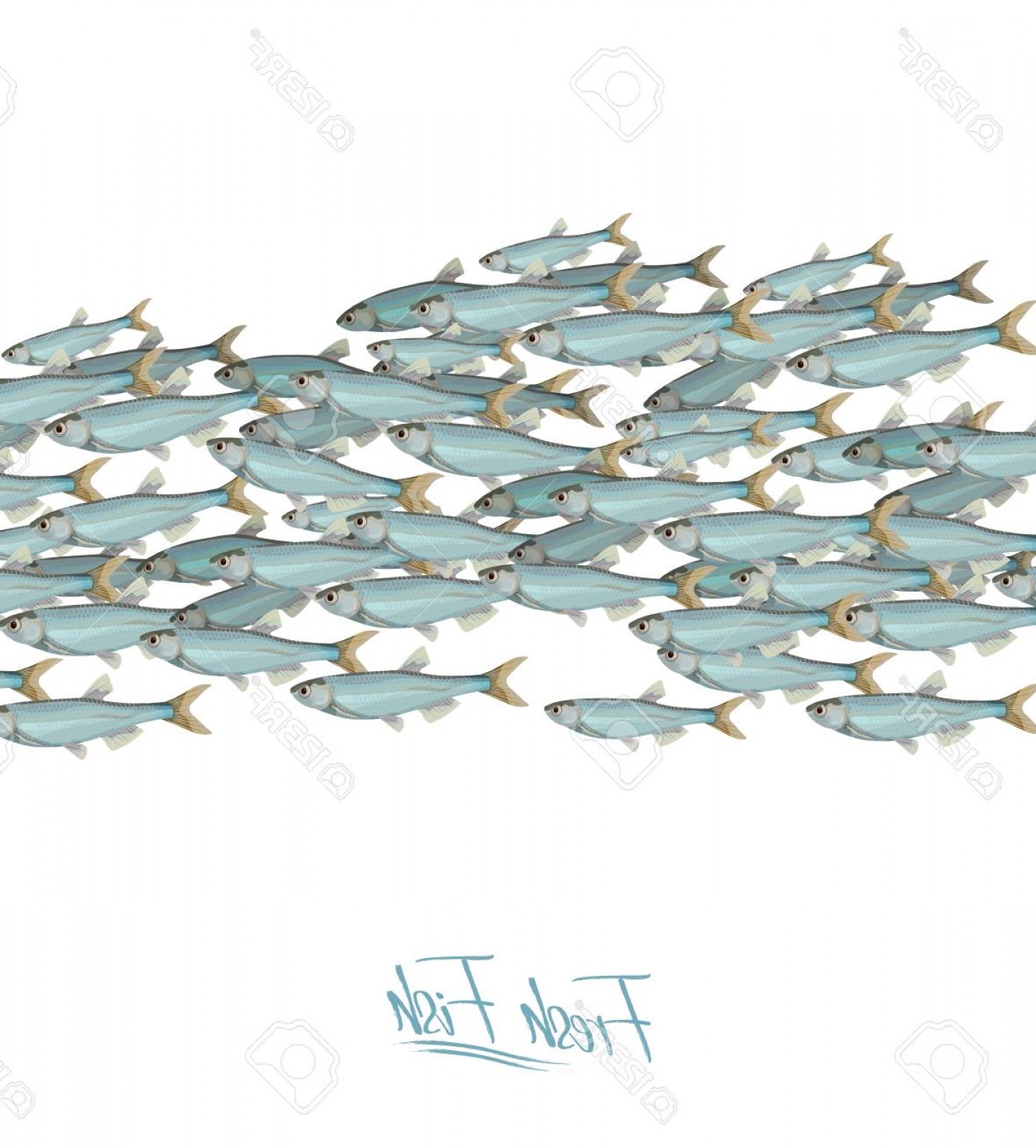 Photostock Vector School Of Fish Vector Illustration For Header 1408x1560 Photostock Vector School Of Fish Vector Illustration For Header