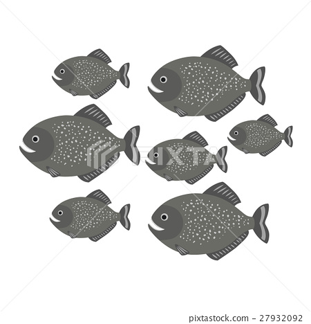 Piranha A School Of Fish Vector Illustration 450x468 Piranha A School Of Fish Vector Illustration