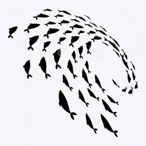 School Fish Group Silhouette Fish Swim Circle Marine Life Vector 300x300 School Fish Group Silhouette Fish Swim Circle Marine Life Vector