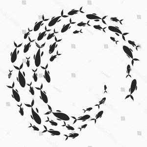 School Fish Group Silhouette Swim Circle Createmepink 300x300 School Fish Group Silhouette Swim Circle Createmepink