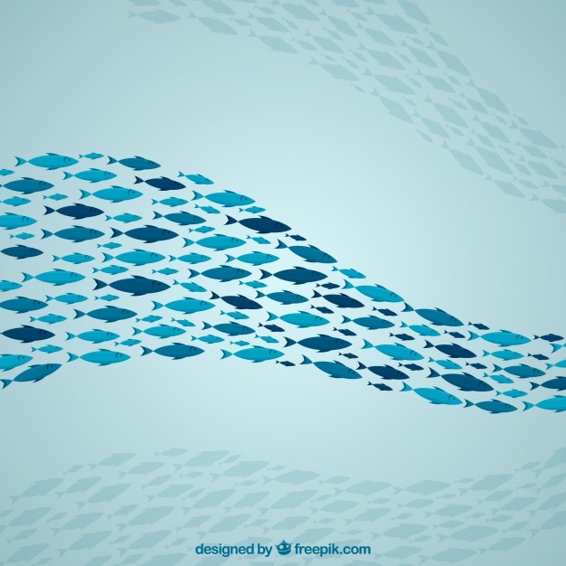 School Fish Vectors, Photos And Free Download 626x626 School Fish Vectors, Photos And Free Download