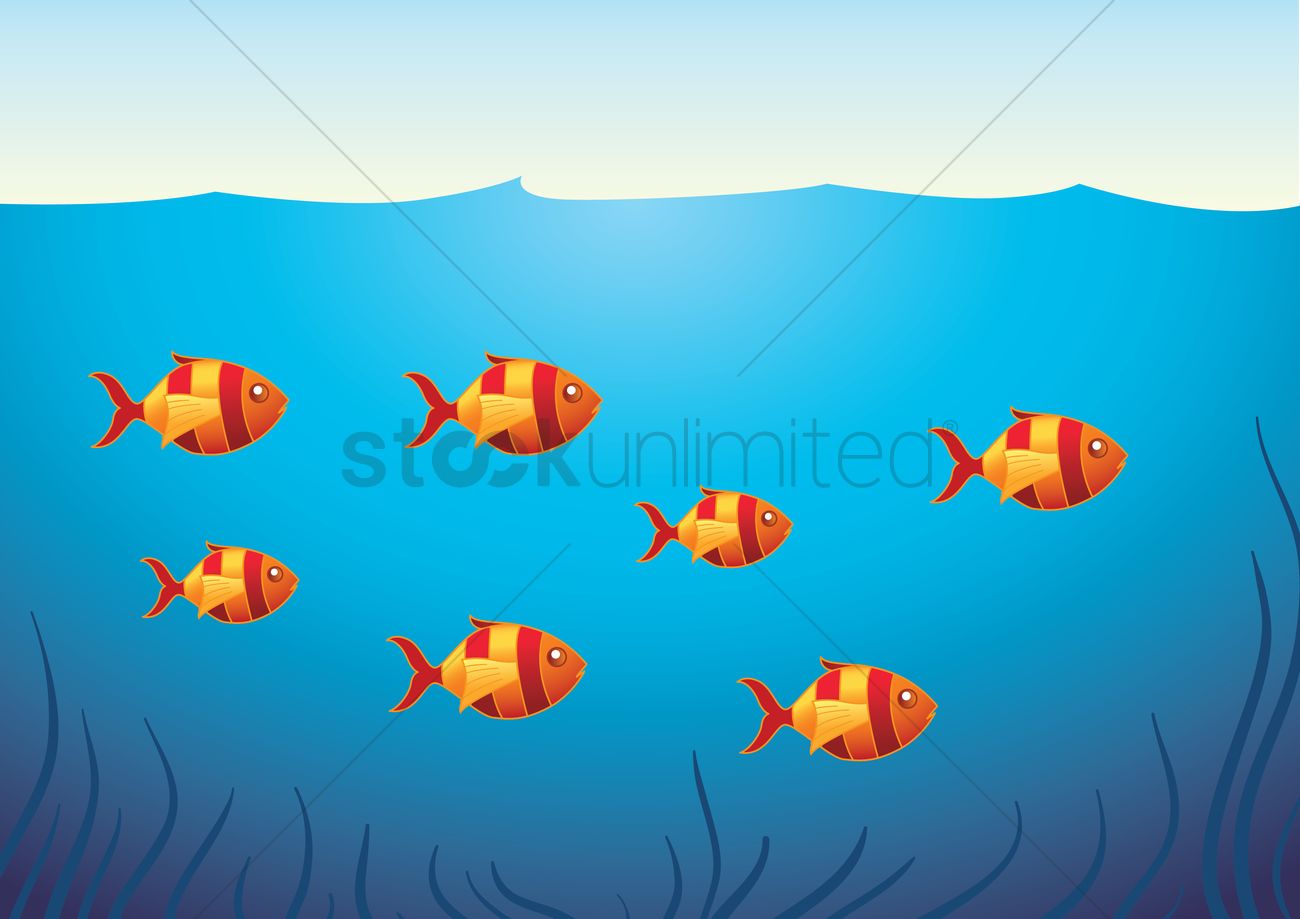 A School Of Fish Vector Image 1300x919 A School Of Fish Vector Image