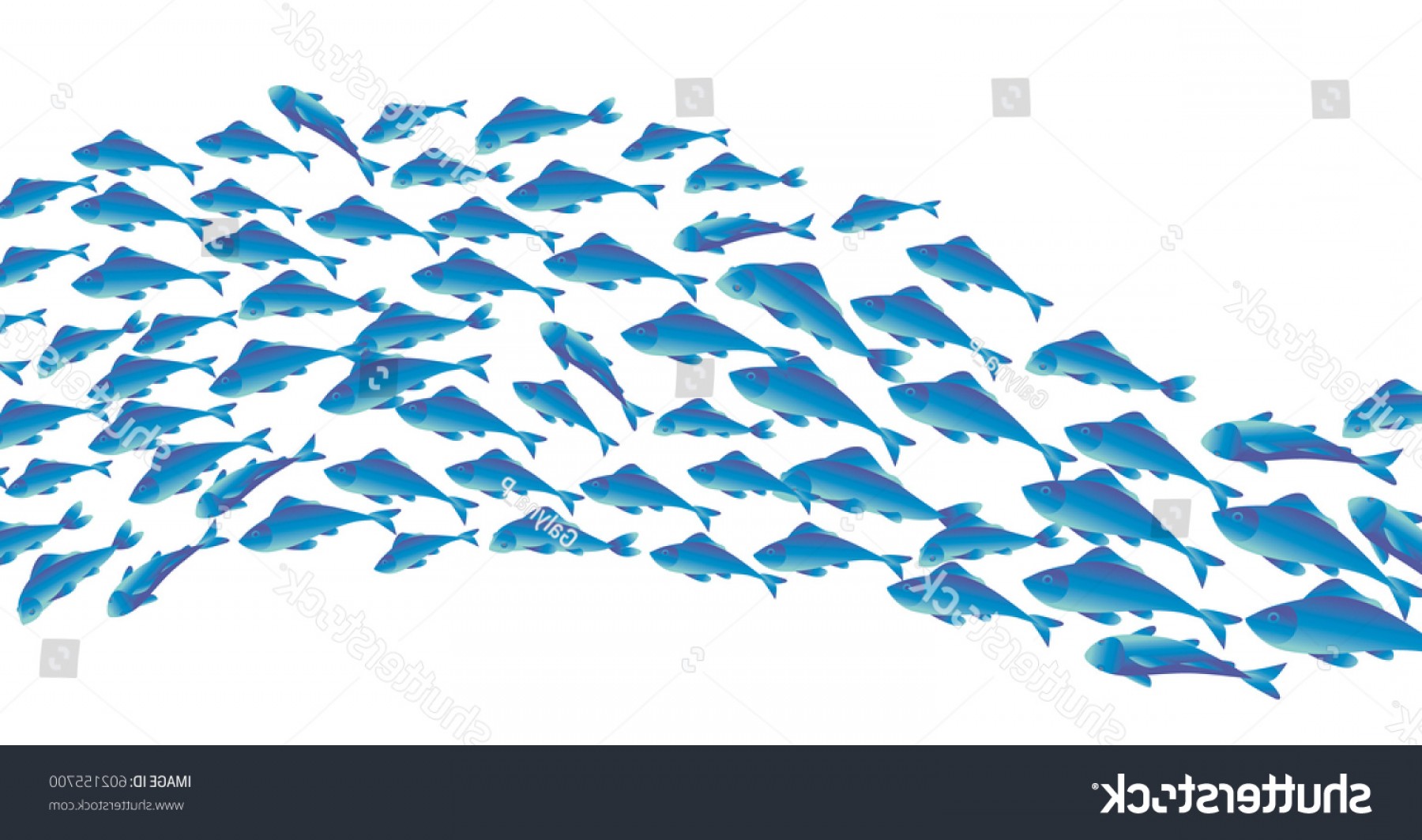 School Of Fish Vector Studiogrfx 1800x1063 School Of Fish Vector Studiogrfx