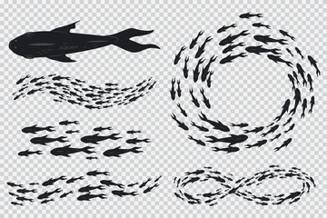 School Of Fish Vector Photos, Royalty Free Images, Graphics 360x240 School Of Fish Vector Photos, Royalty Free Images, Graphics