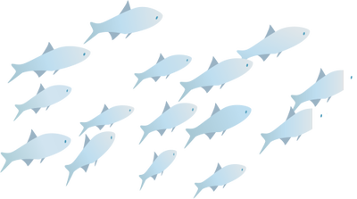 Collection Of 'school Of Fish Drawing' Download More Than 400x223 Collection Of 'school Of Fish Drawing' Download More Than