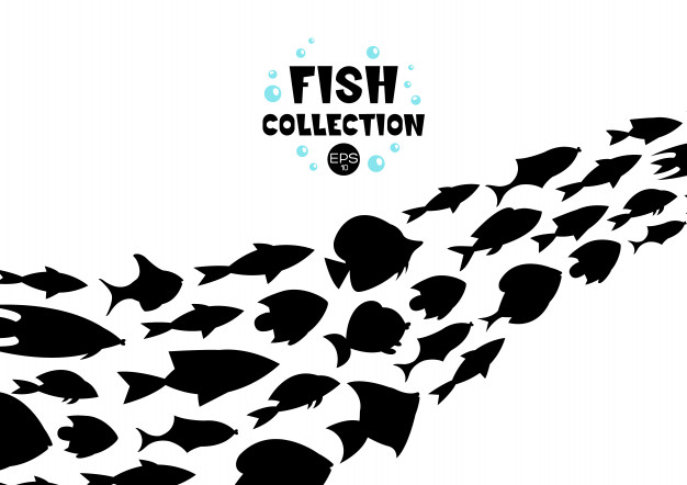 Fish Vectors, Photos And Free Download 626x442 Fish Vectors, Photos And Free Download